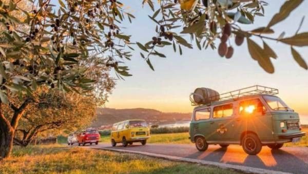 Oldtimer-Bus Tour inkl. Wein-und Olivenöl Verkostung.